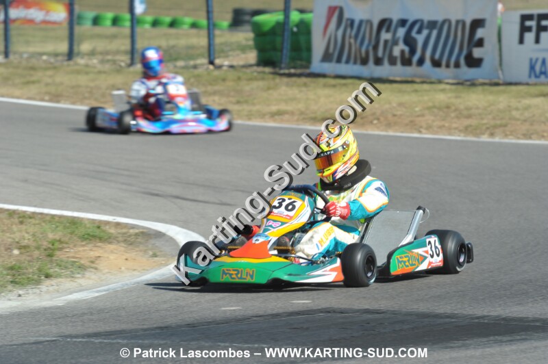 DSC_ (1536).JPG